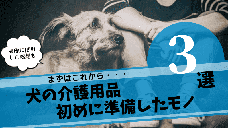 犬の介護用品３選