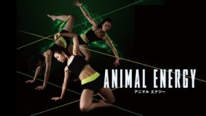 ANIMAL ENERGY